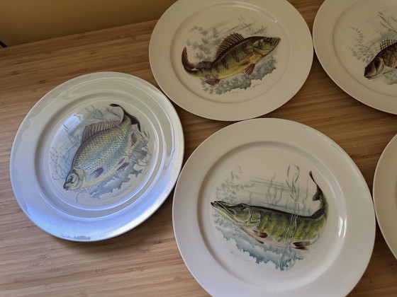 Image 1 of 7-teiliges Fischservice – 6 Teller und 1 große Platte – aus Limoges-Porzellan