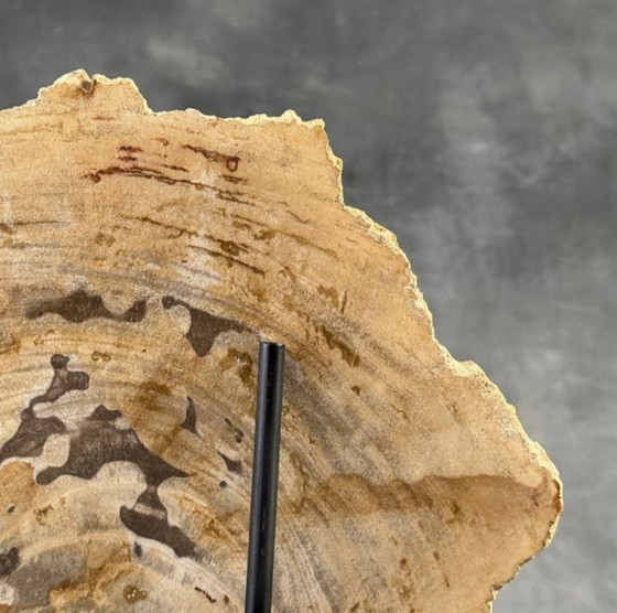 Image 1 of Bois fossilisé de Sooka, fabrication sur mesure standard (neuf)