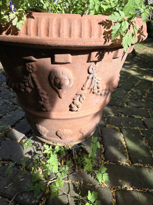 Terracotta ornamental plant pots import Tuscany. Hardy.
