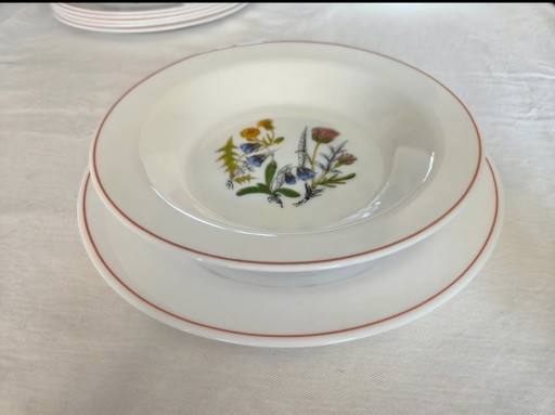 12-Piece Plates (6 + 6), Opal Glass/Milk Glass – servies, Porcelain