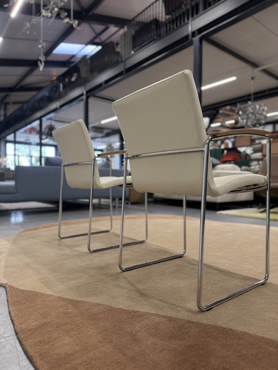 Image 1 of 2 Leolux Talos dining chairs Senso leather