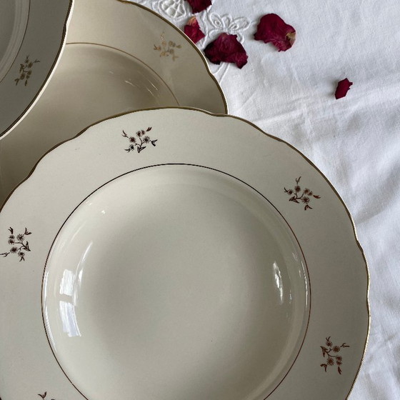 Image 1 of 6 piatti fondi antichi in terracotta color crema di Villeroy & Boch