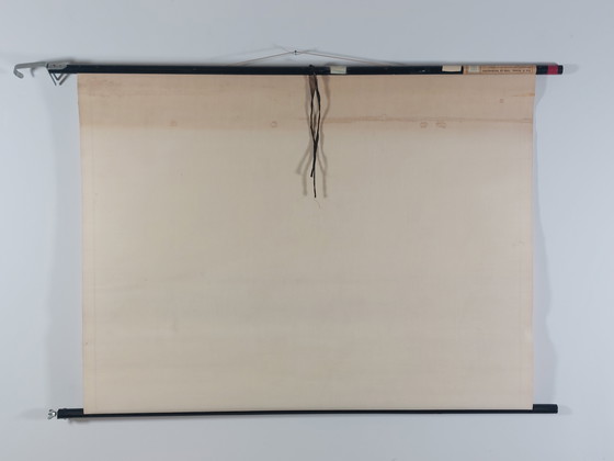 Image 1 of Vintage linen roll-up map, teaching aid for biology, cryptomeria, heredity