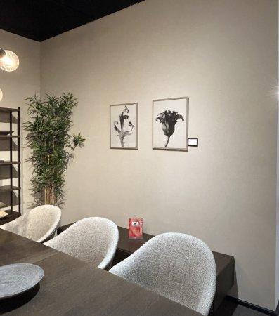 Boconcept - Form in Nature Gallery | €69 | Whoppah