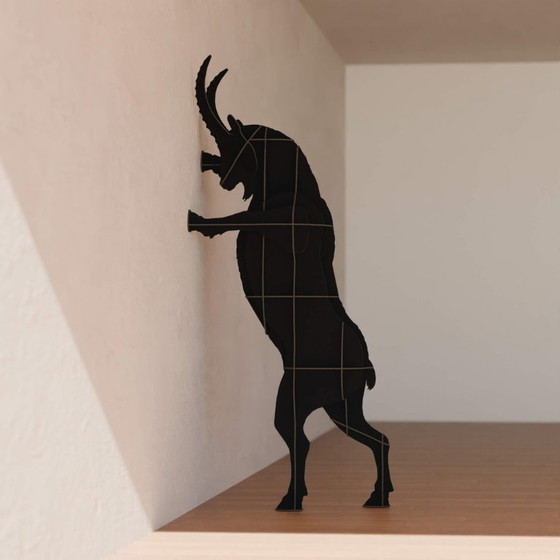 Image 1 of Fausto Ibride steenbok