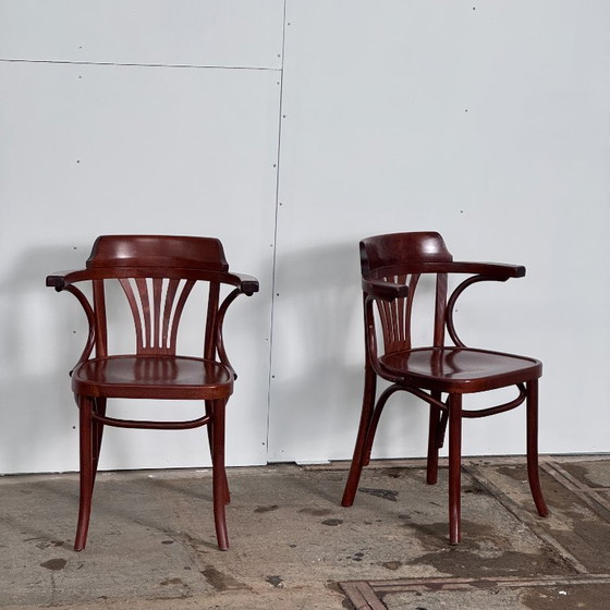 Image 1 of Paire de chaises hongroises Sellaton, années 2000 — Design contemporain