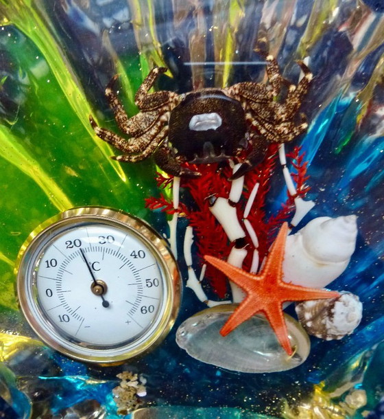 Image 1 of 2x Vintage Lucite Presse Papiers met Maritiem decor.