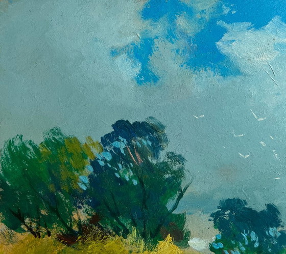 Image 1 of Origineel olieverfschilderij: Zomerlandschap in de natuur, de warme adem van het veld.