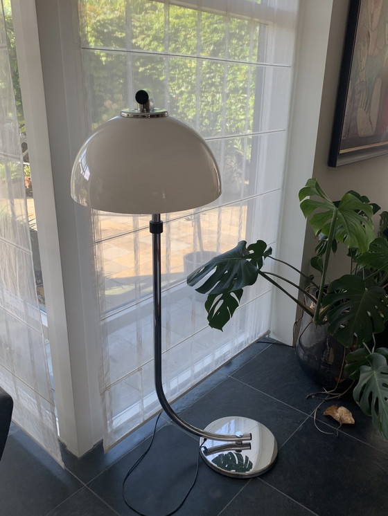 Image 1 of Séances de la lampe serpent Dijkstra