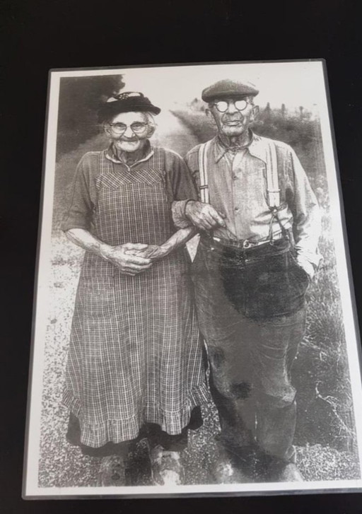 Díptico nostálgico único de una pareja de granjeros