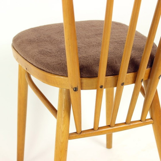 Image 1 of Juego de cuatro sillas de comedor de Tatra, Checoslovaquia, década de 1960