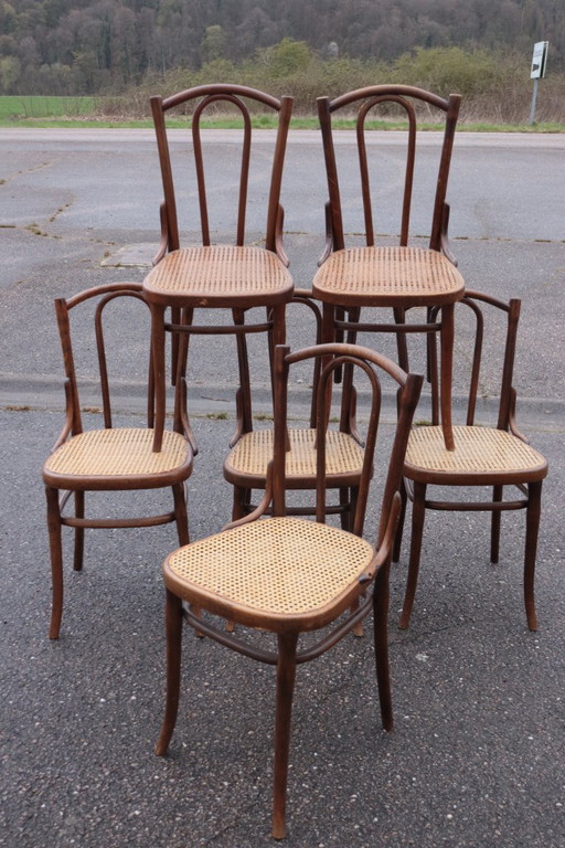 Sedie da bistrot serie x6 n. 56 di Thonet