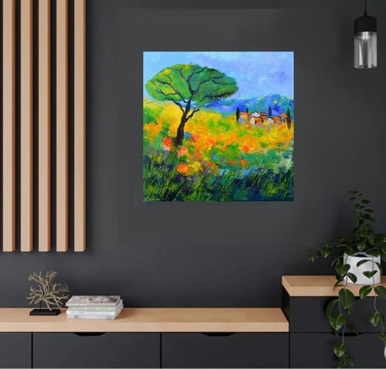 Image 1 of Pino in Toscana