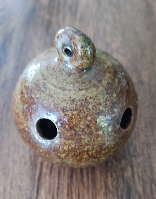 Picchio rosso in vecchie arenarie piritiche