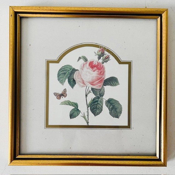 Image 1 of Ensemble de peintures vintage fleurs roses