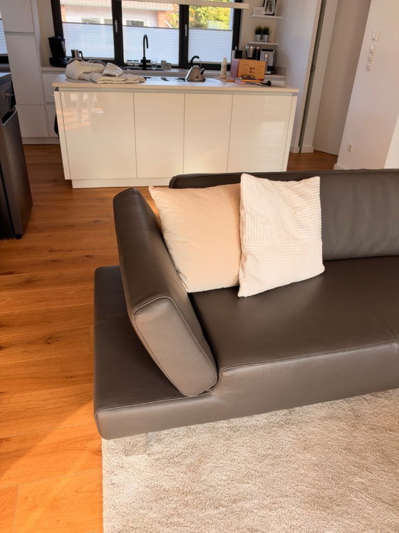 Divano angolare W. Schillig in pelle grigia, Divani angolari, Metallo, Grigio, Modern (foto 4 di 9)