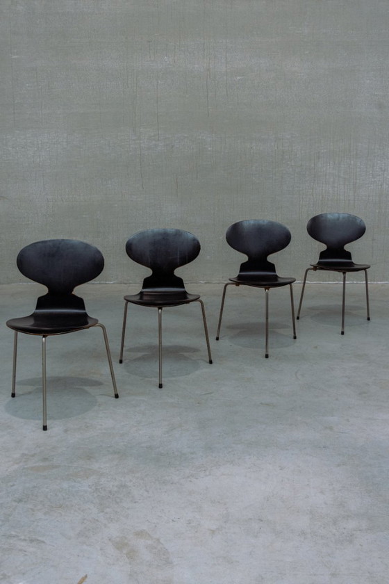 Image 1 of set of 4x first editions Ant chairs Arne Jacobsen for Fritz Hansen
