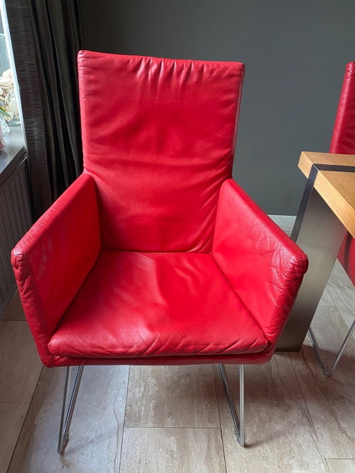 6 sillas de comedor Gerard van de Berg