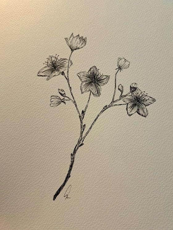 Image 1 of Illustration Cherry Blossom Sakura | In Dark Brown Frame