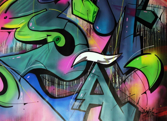 Image 1 of Originalgemälde von Saname – „100 Titel 88“ – Street Art – 107 x 117 cm