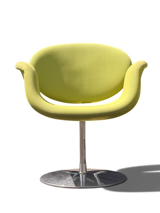 Authentic Pierre Paulin "Little Tulip" Chair for Artifort - Vibrant Green – Dining chairs, Textile (photo 4 of 13)