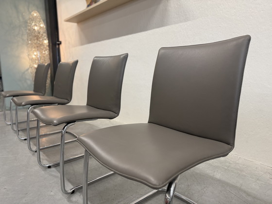 Image 1 of 4 Leolux Freyr dining chair Wapiti Triel