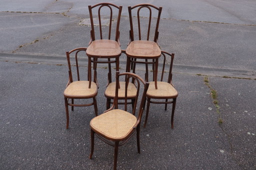 Sedie da bistrot serie x6 n. 56 di Thonet