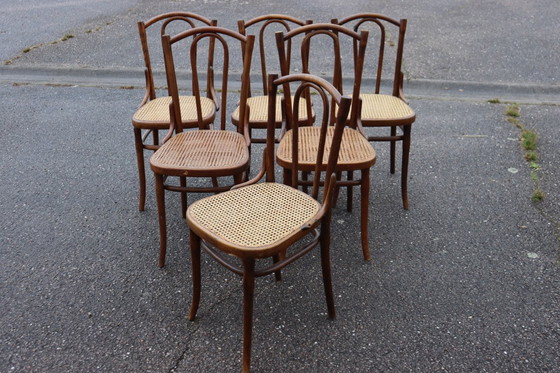 Image 1 of Sedie da bistrot serie x6 n. 56 di Thonet