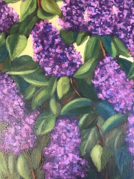 Image 1 of Lilla - dipinto a olio di Irina Gauss