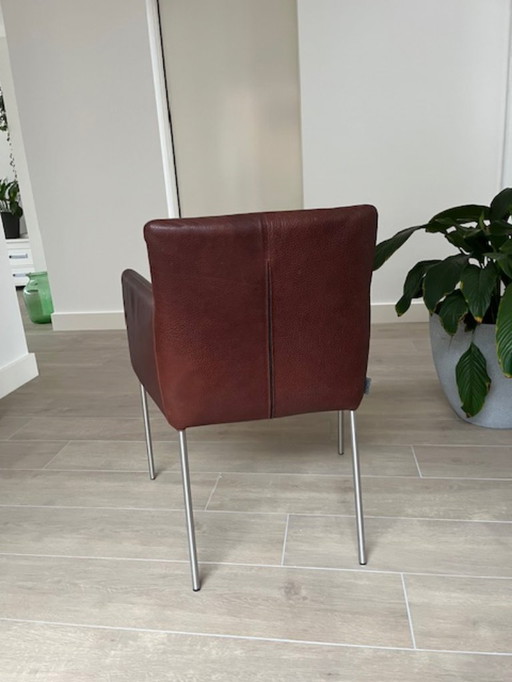 4 x Label Leder-Esszimmerstühle Tiba