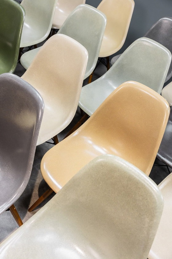 Image 1 of Eames DSW glasvezelstoelen