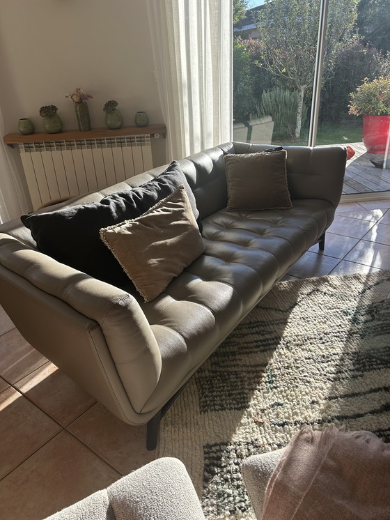 Image 1 of Divano in pelle Roche Bobois