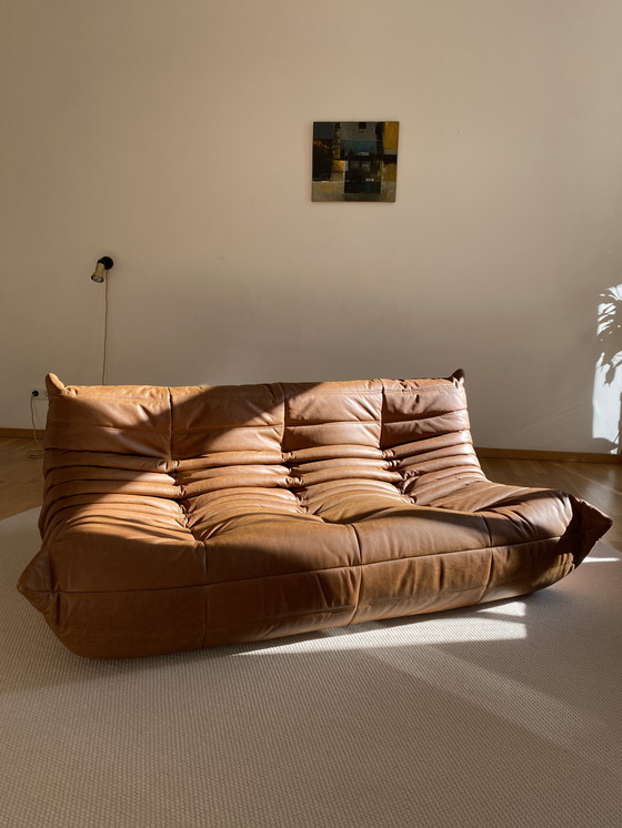 Image 1 of Ligne Roset - Togo - Sofá 3 plazas - Piel marrón coñac
