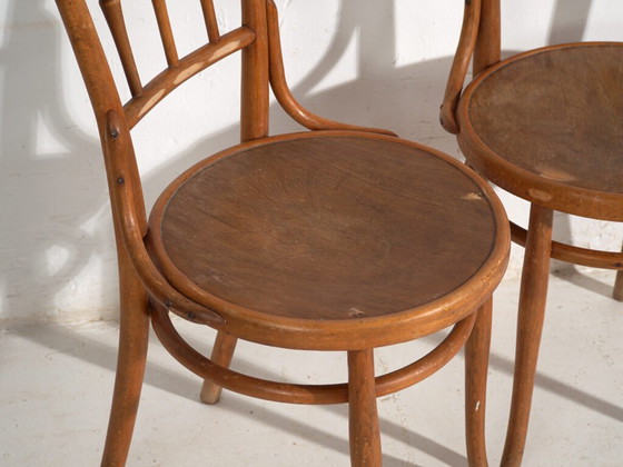 Antikes Set von 4 Bugholzstühlen aus gebogenem Holz – Mitteleuropa, um 1900 – Thonet, Esszimmerstühle, Metal (photo 26 of 40)