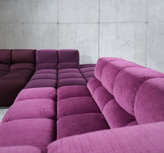 Image 1 of Tempo di Tufty