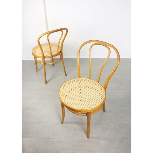 Paar Vintage-Stühle Nr.18 "Wide" von Michael Thonet