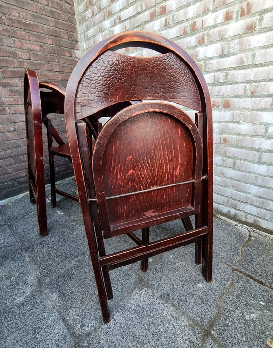 Image 1 of Sedie pieghevoli in legno n. B 751, Thonet Cosmos stampa coccodrillo