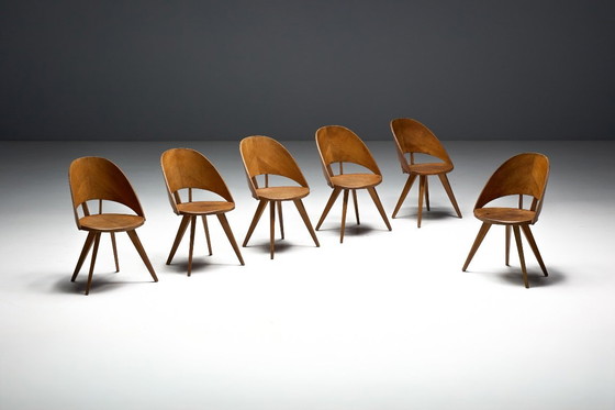 Image 1 of Mid-Century Plywood Dining Chairs, Italy, 1950s