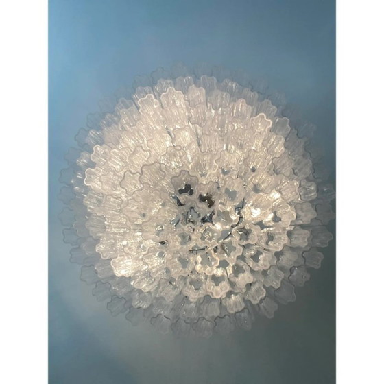 Image 1 of Lámpara de araña transparente de cristal de Murano Tronchi