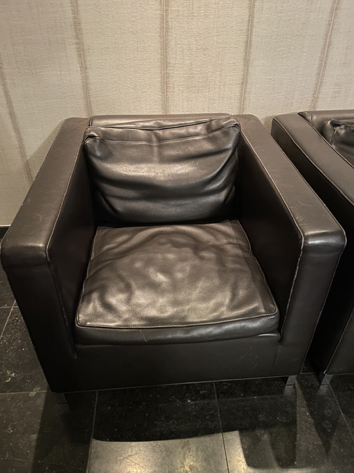 Twee bruine Molinari fauteuil – Leather, Metal (photo 2 of 5)