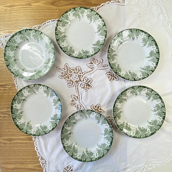Image 1 of Set of 6 Saint Amand et Hamage ironstone dinner plates, green plane tree pattern