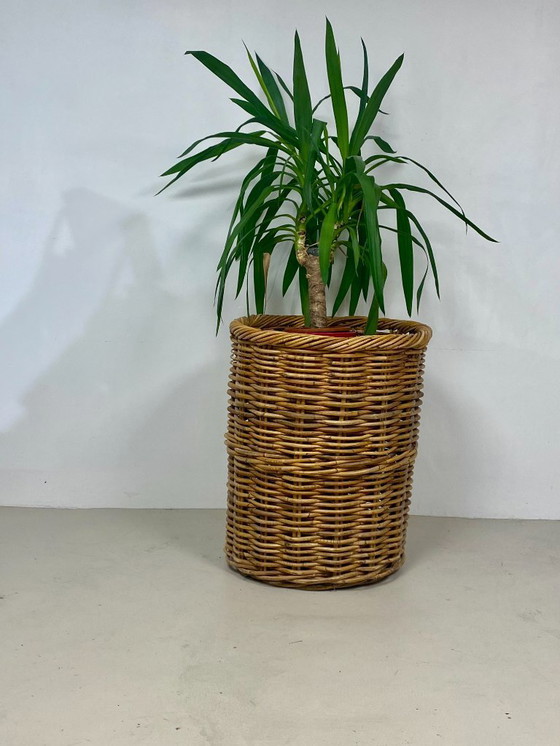 Image 1 of Cestino in rattan vintage extra large - Decorazione retrò