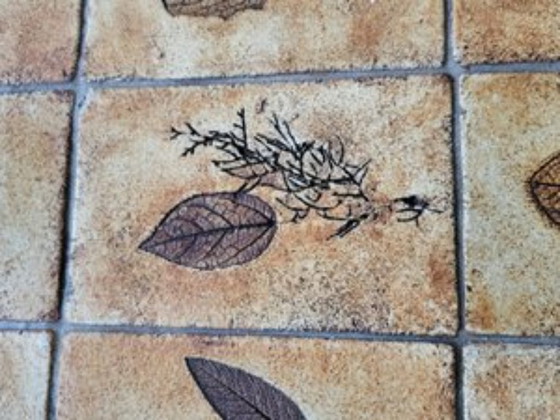 Image 1 of Roger Capron ceramic coffee table Vallauris 1970 France Côte-d'Azur