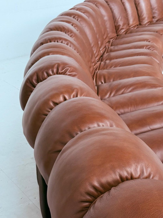 De Sede Ds600 Snake en cuir Cognac, 20 éléments, Canapés modulables, Textile, Marron (photo 2 sur 15)