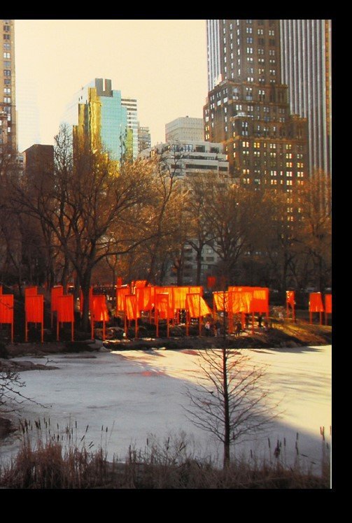 Image 1 of Christo - The Gates - New York Central Park - offset a colori, foto W. Volz