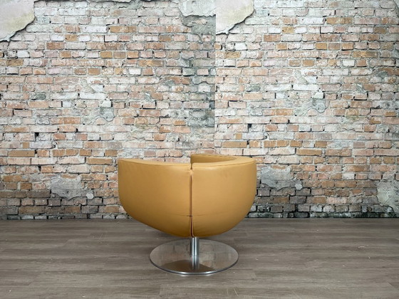 Image 1 of B&amp;B Italia Tulip Sessel Kamel