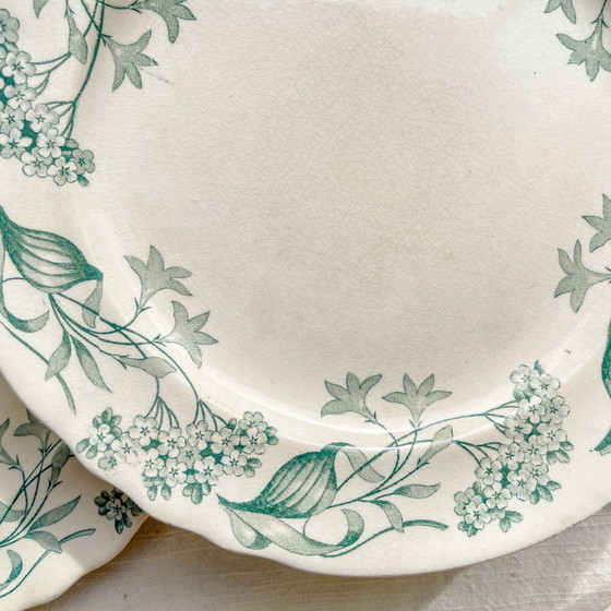Set di 6 Piatti Piani Antichi in Ironstone "Lilac" – Longchamp XIX Secolo – Stoviglie, Vintage (photo 10 of 14)