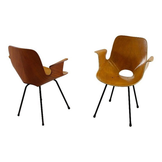 Image 1 of sedia con braccioli in legno curvato di faggio "medea" di vittorio nobili per fratelli tagliabue, italia, 1956