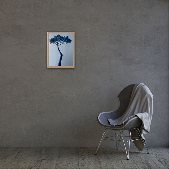 Image 1 of Tinta sobre papel, 40x30 cm. Enmarcado.