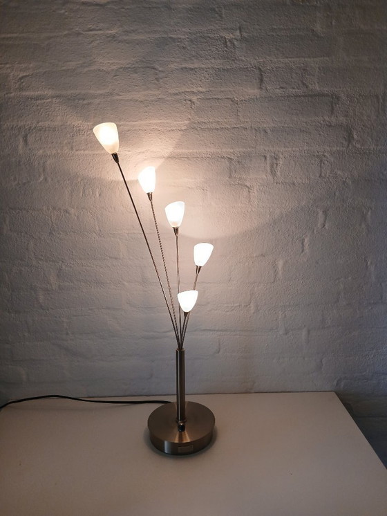 Image 1 of Tischleuchte - Jan des Bouvrie - Boxford